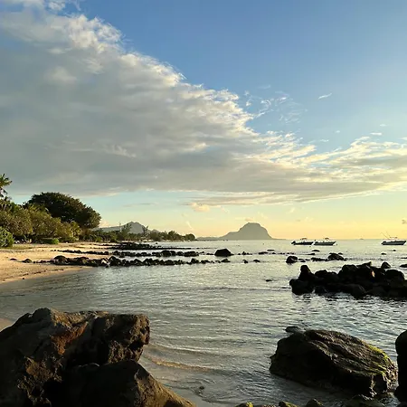 Beach And Mountain - Tamarin